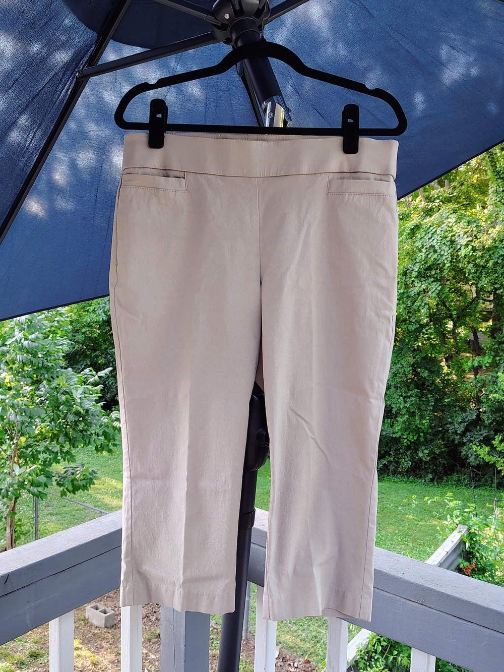 Kim Rogers Beige Crop Dress Capris Tummy Control Panel